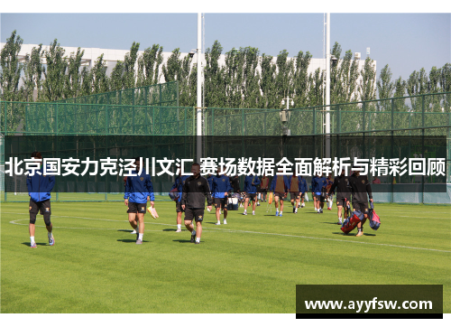 北京国安力克泾川文汇 赛场数据全面解析与精彩回顾
