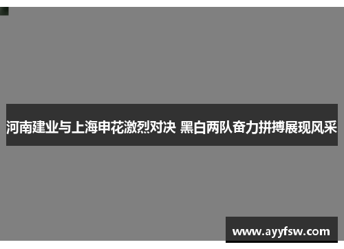 河南建业与上海申花激烈对决 黑白两队奋力拼搏展现风采