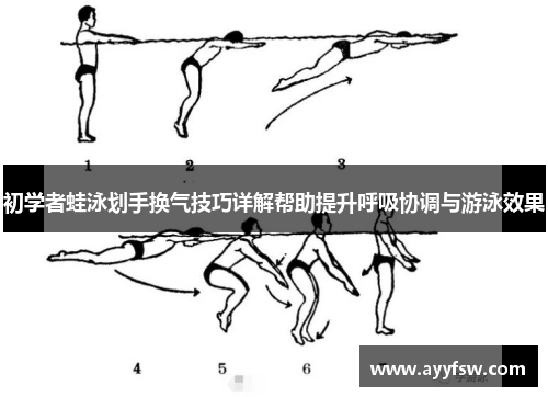 初学者蛙泳划手换气技巧详解帮助提升呼吸协调与游泳效果