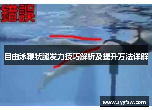 自由泳鞭状腿发力技巧解析及提升方法详解