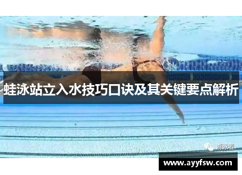 蛙泳站立入水技巧口诀及其关键要点解析